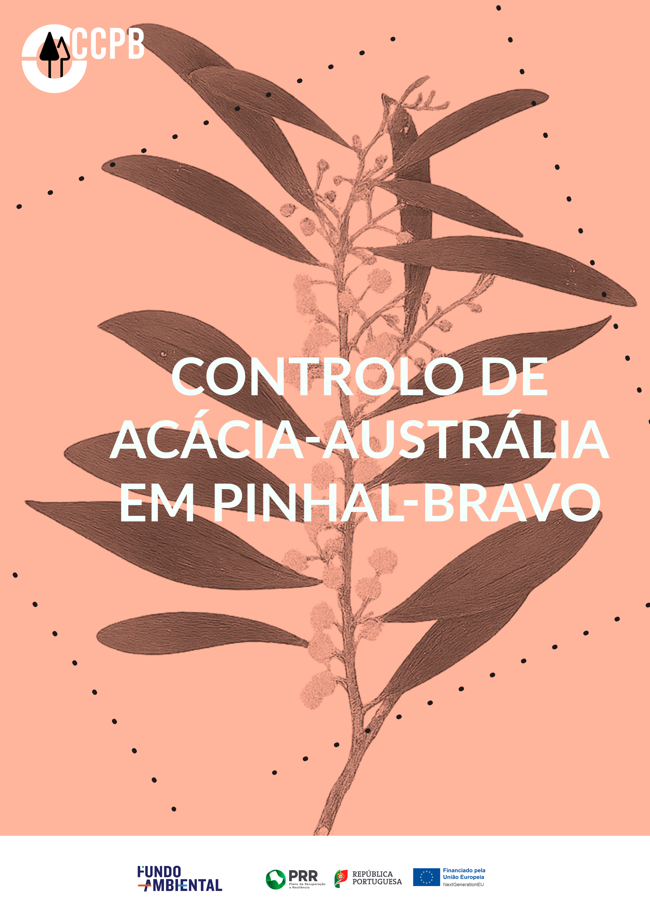 Edição técnica Controlo de Acácia austrália em Pinhal 1
