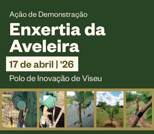 Enxertia 2