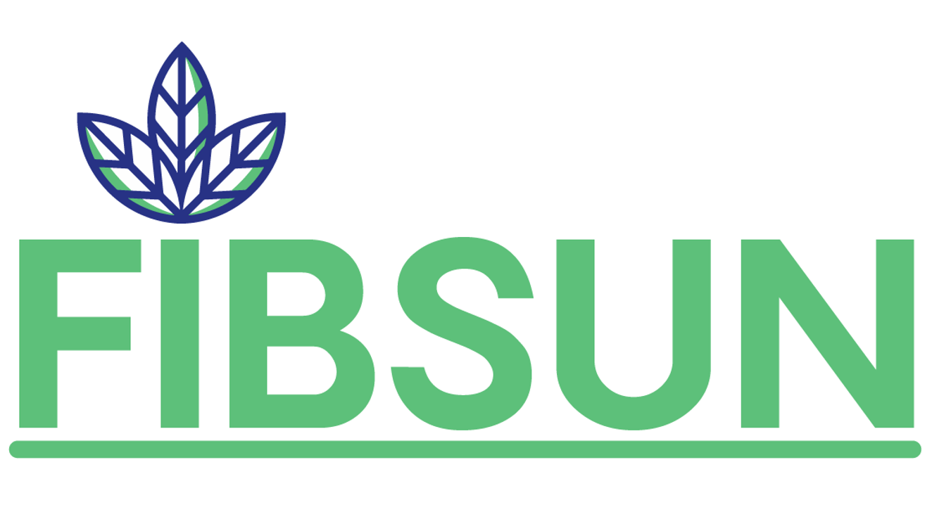 FIBSUN logo