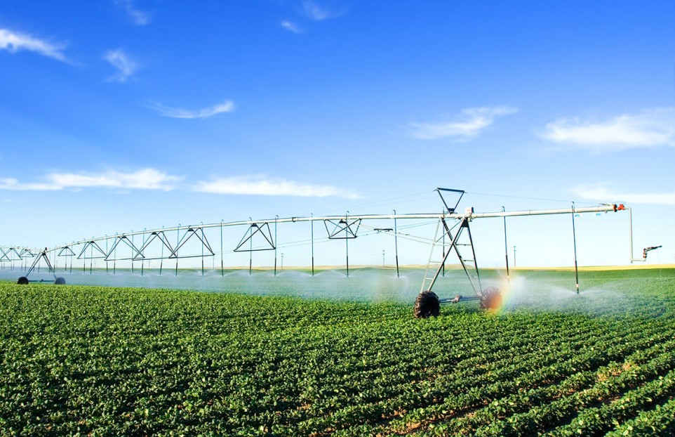 future cap field irrigation