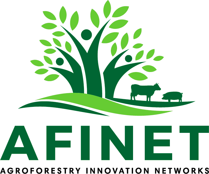 M2 Logo AFINET