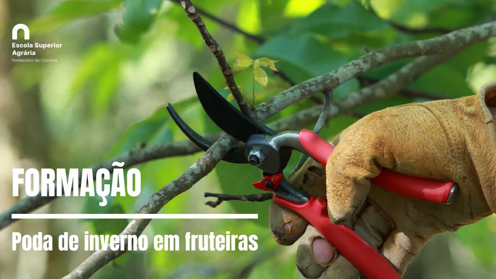 Formacao agraria coimbra poda fruteiras
