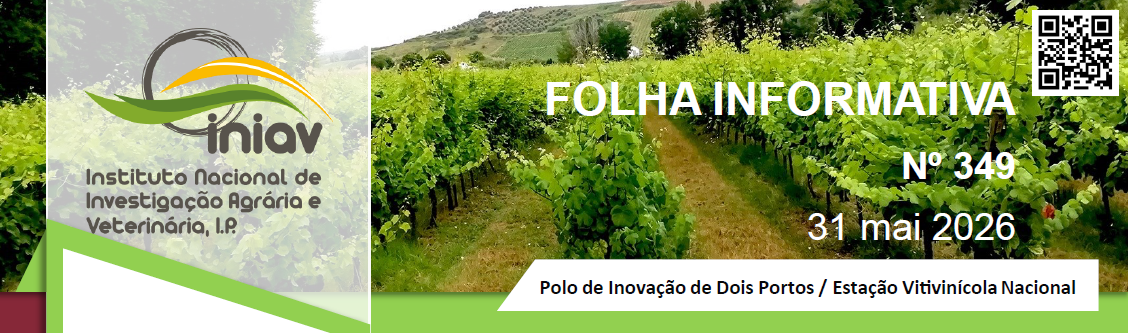 IMIAV folha informativa maio