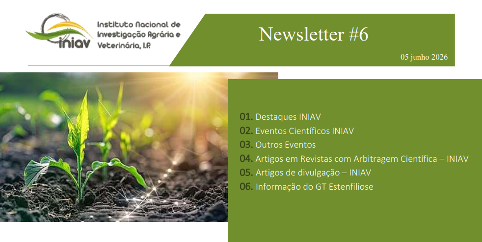 INIAV NL6