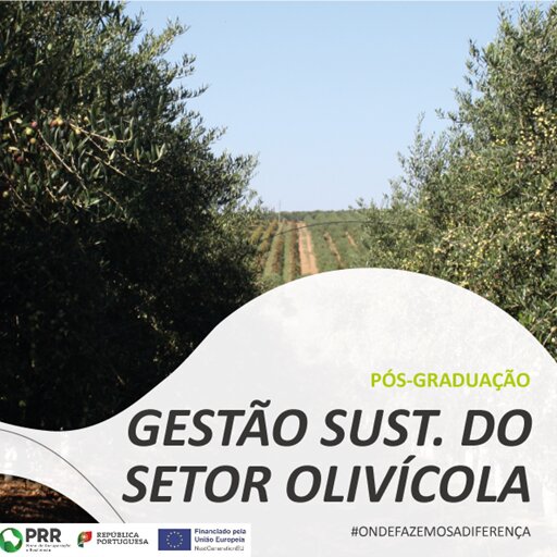 IPBEJA olivicola