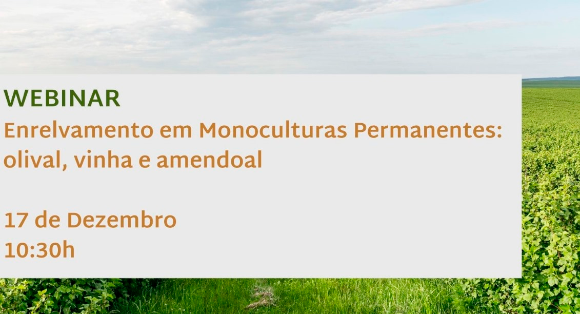 cartaz webinar cut