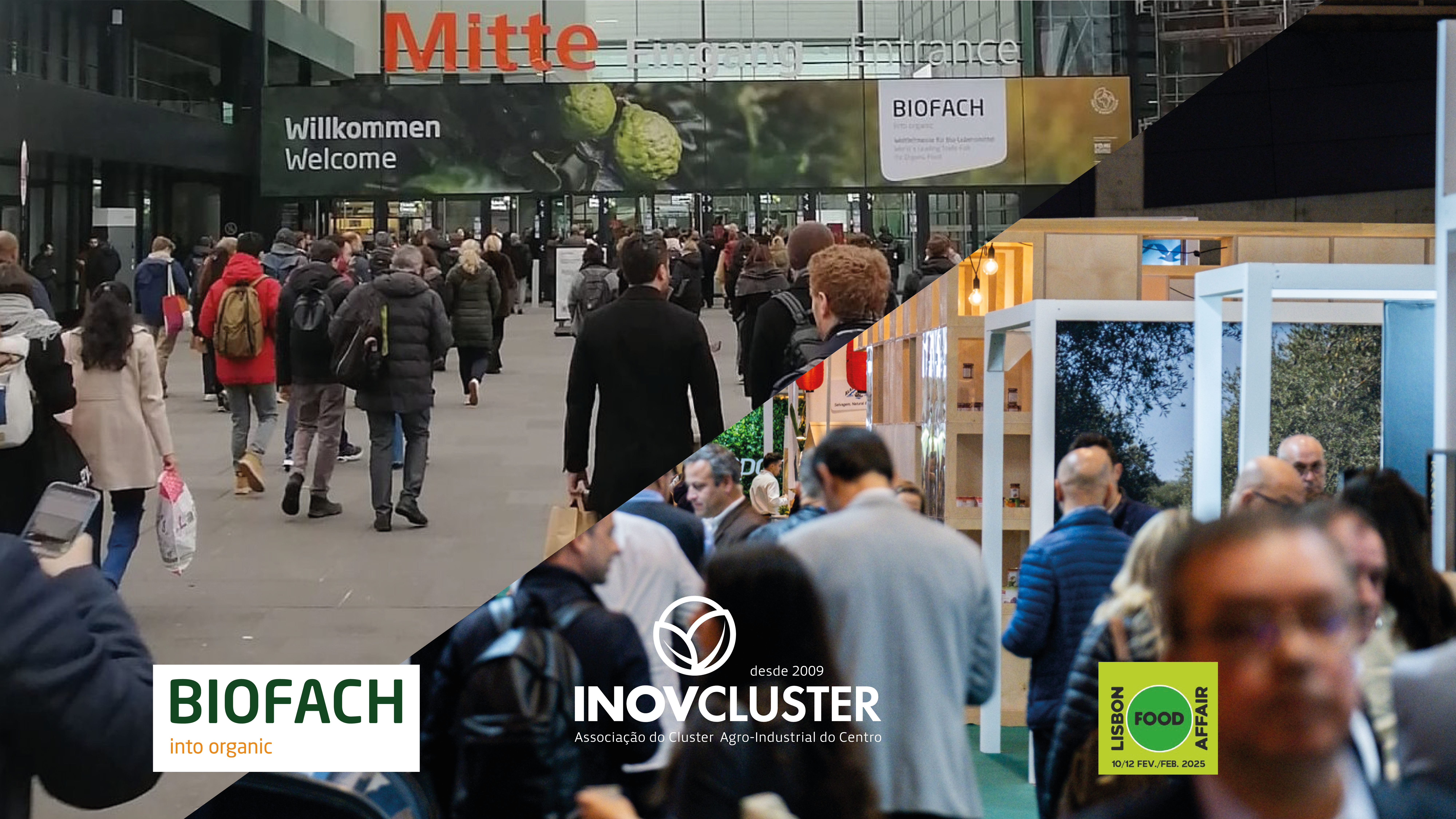 InovCluster LFA25 BIOFACH25