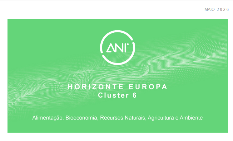 NL Horizonte europa