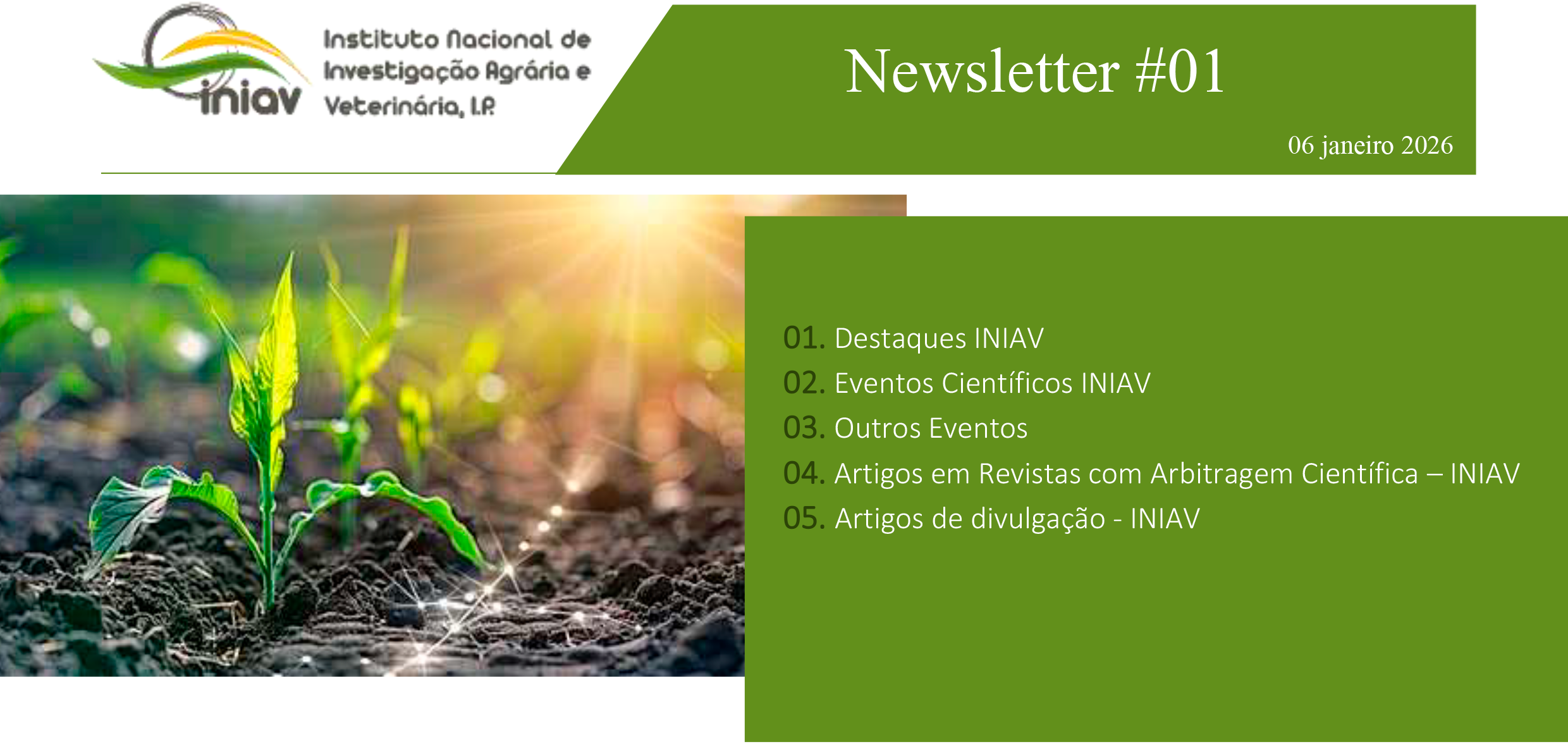 Newsletter Externa 01 2026 1