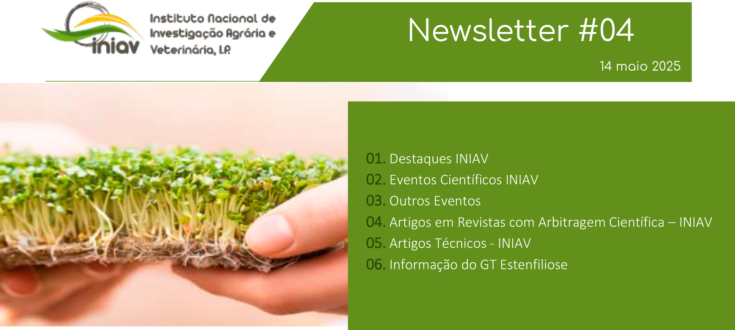Newsletter Externa 04 2025 1