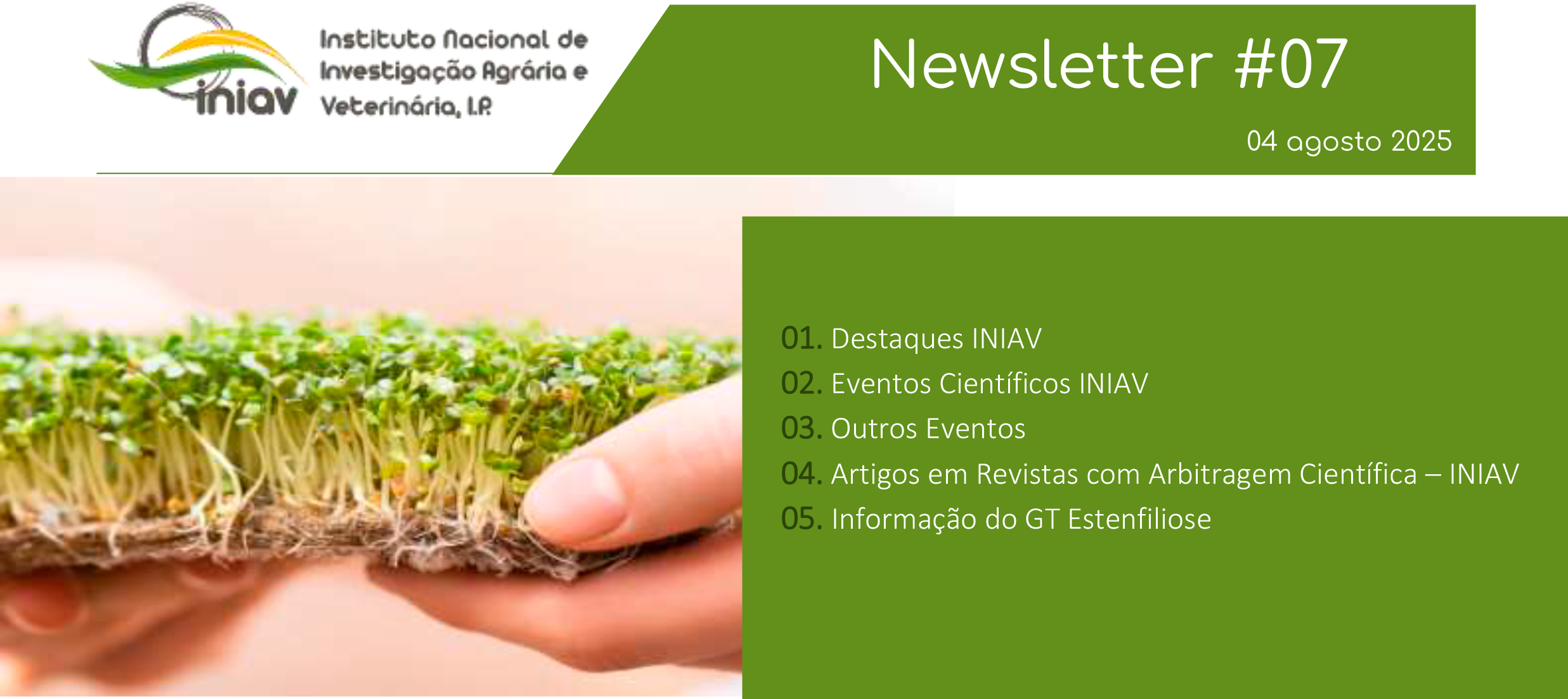 Newsletter Externa 07 2025 1