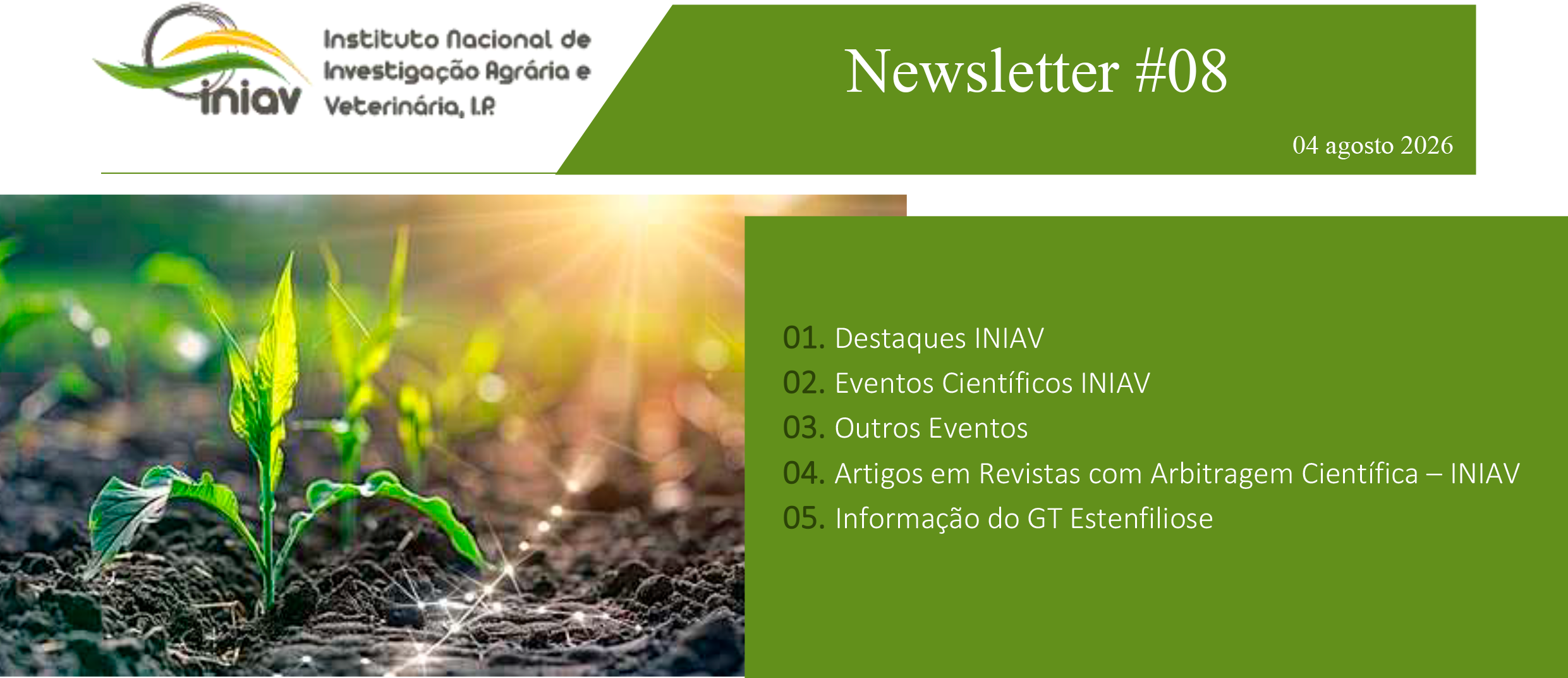 Newsletter Externa 08 2026
