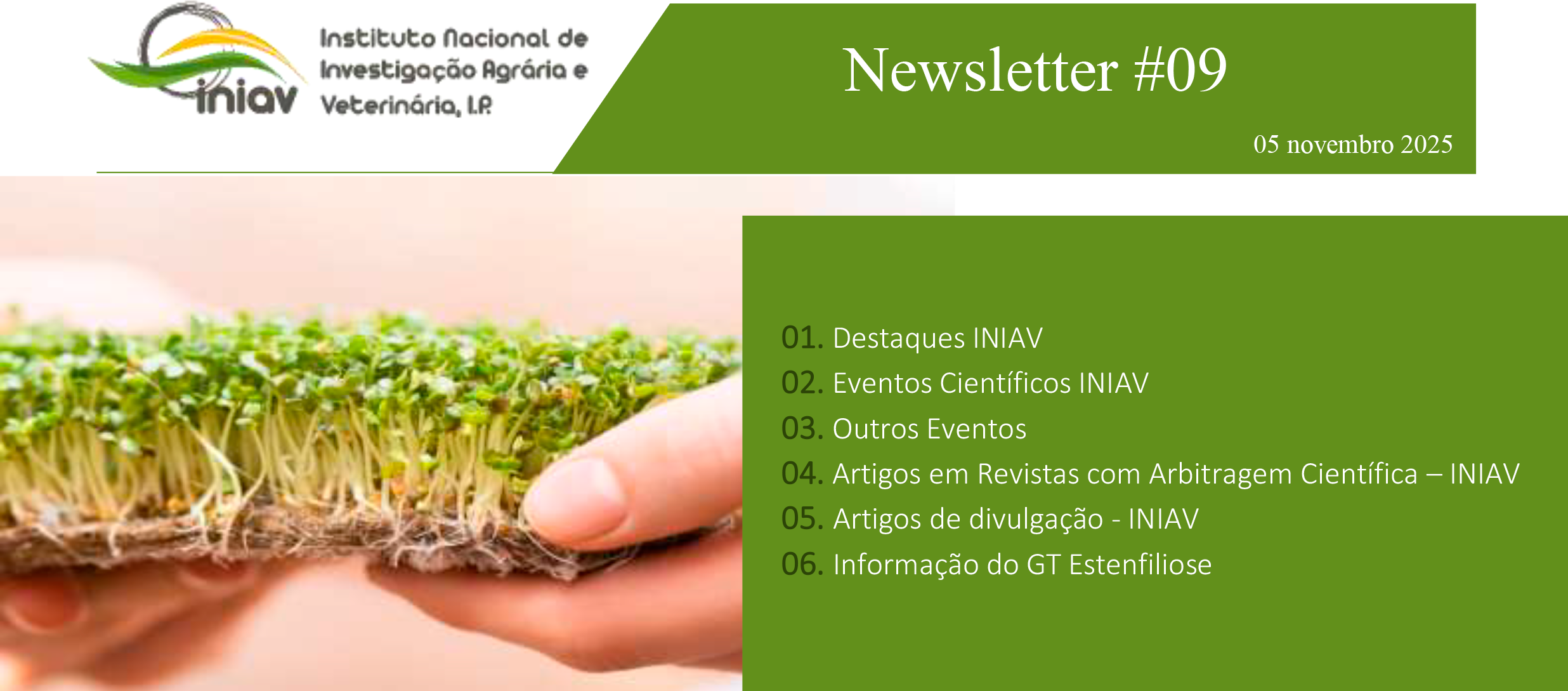 Newsletter Externa 09 2025 1