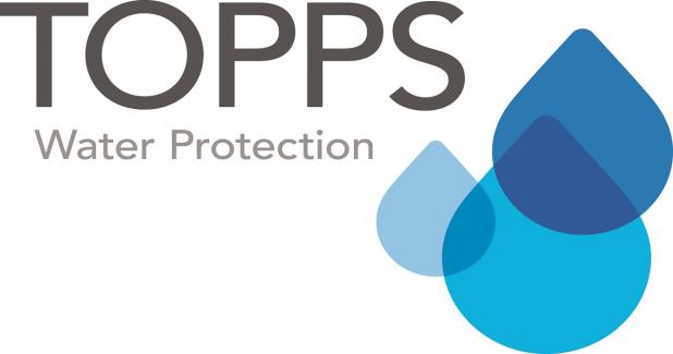 Logo Topps WP