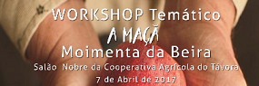 Workshop a Maça