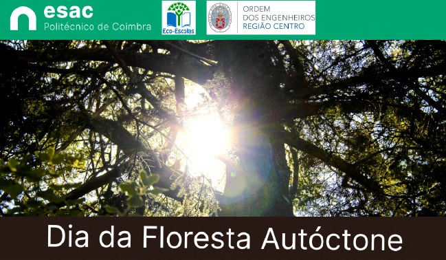 ESAC dia floresta 