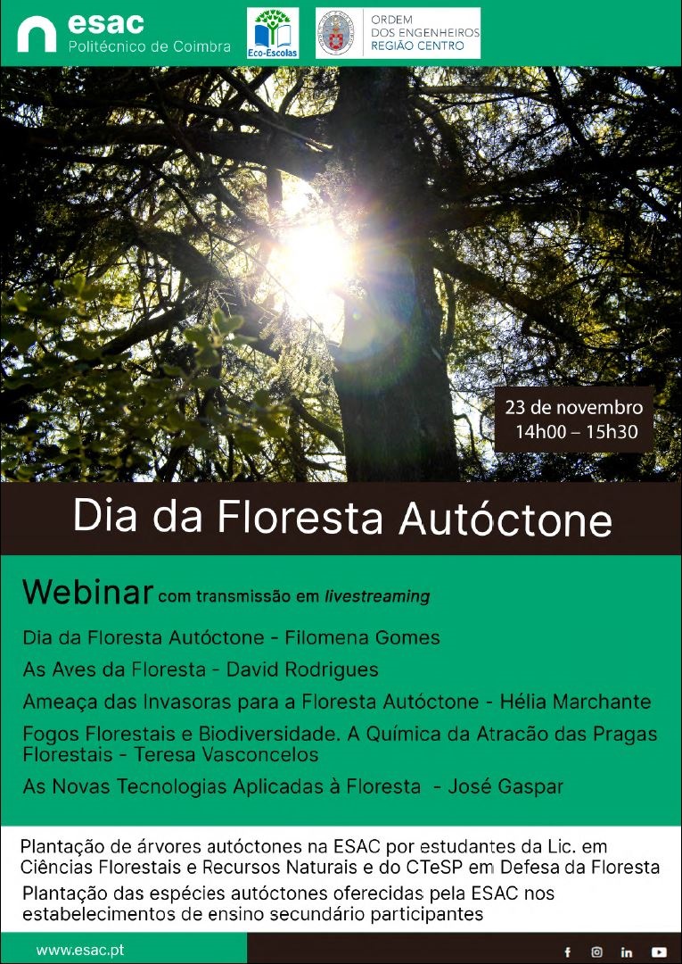 ESAC dia floresta programa 