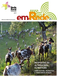 emRede8 capa 200