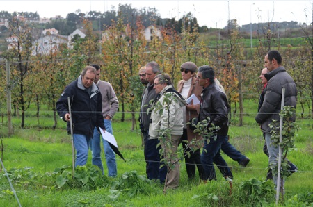 roteiro maca camoesa 4