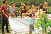 sustainable_food_tourism