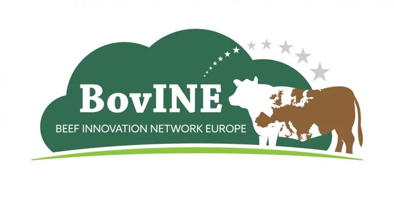 BovINE