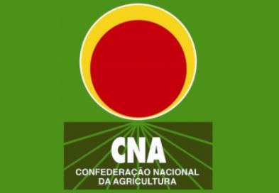 CNA logo