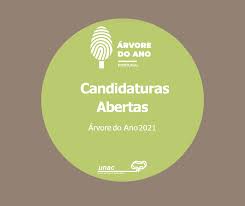 Concurso árvore Ano2021