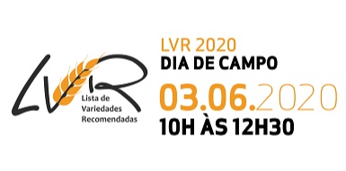 Dia LVR2020