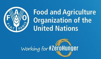 FAO logo