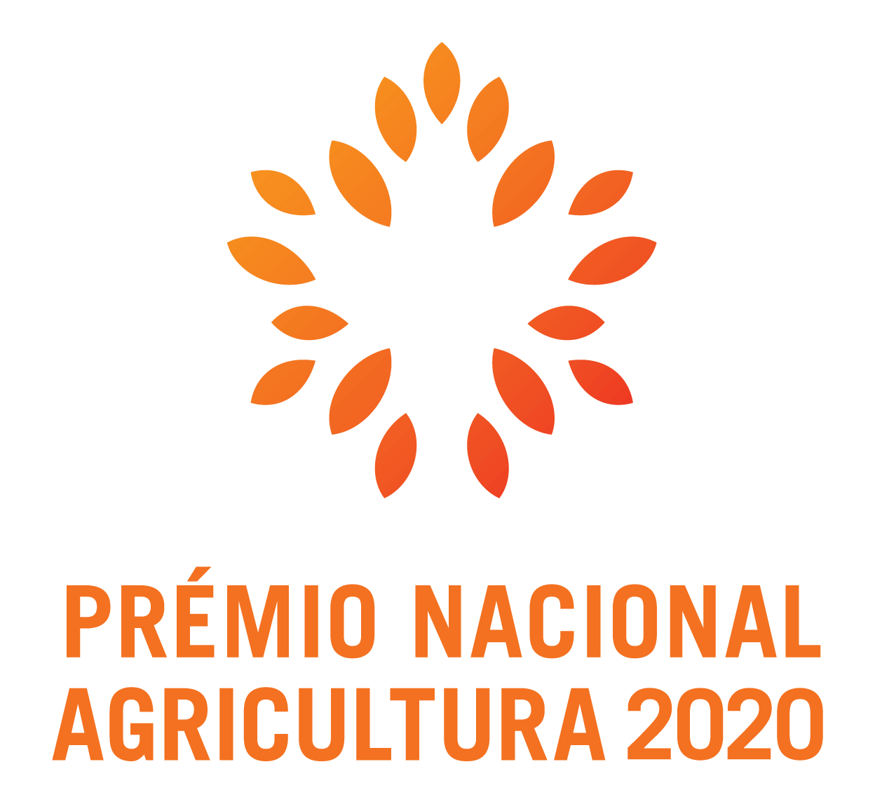 Logo PNA 2020 sfundo slogos
