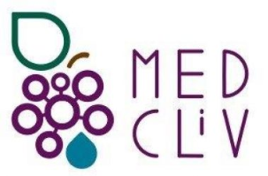 MEDCLIVE project