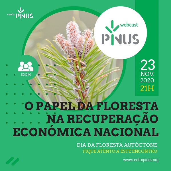 Pinus webcast nov 2020