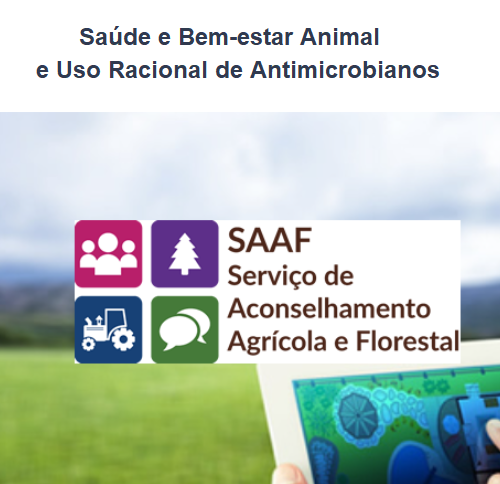 SAAF saude bemestar animal