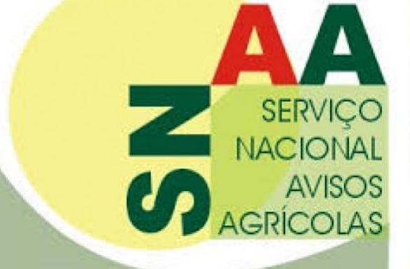 SNAA logo