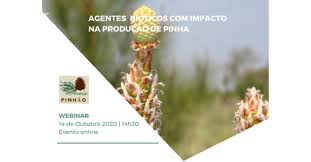 Webinar GOPINHÃO