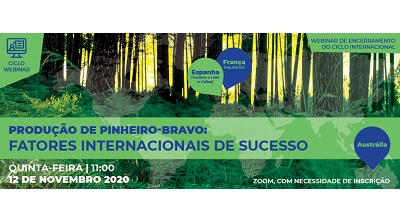 Webinar internacional CentroPinus