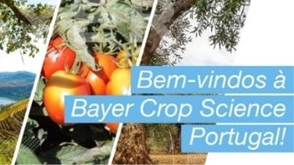 bayer crop science pt