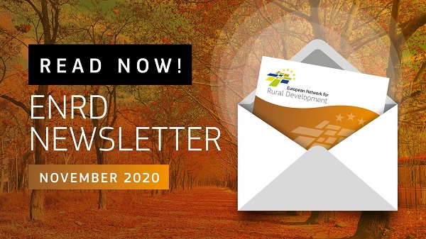 enrd newsletter nov