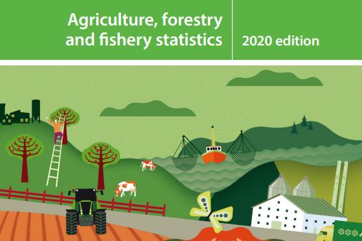 eurostat statistical book 2020