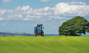 field agriculture farm grass