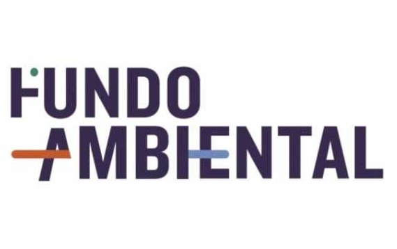 fundo ambiental