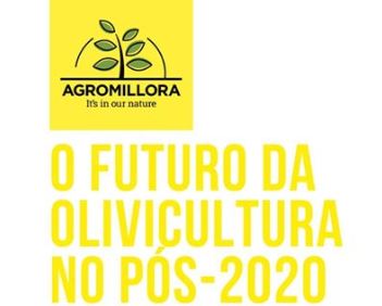 webinar futuro olivicultura