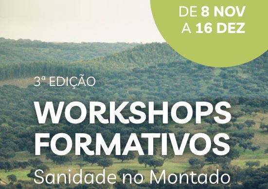 3 edicao sanidade montado