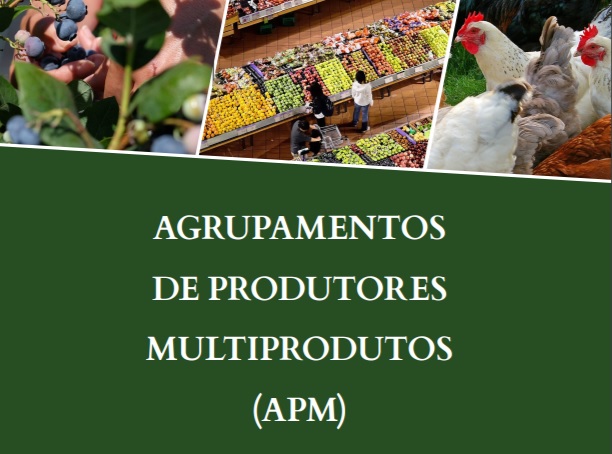 APM flyer