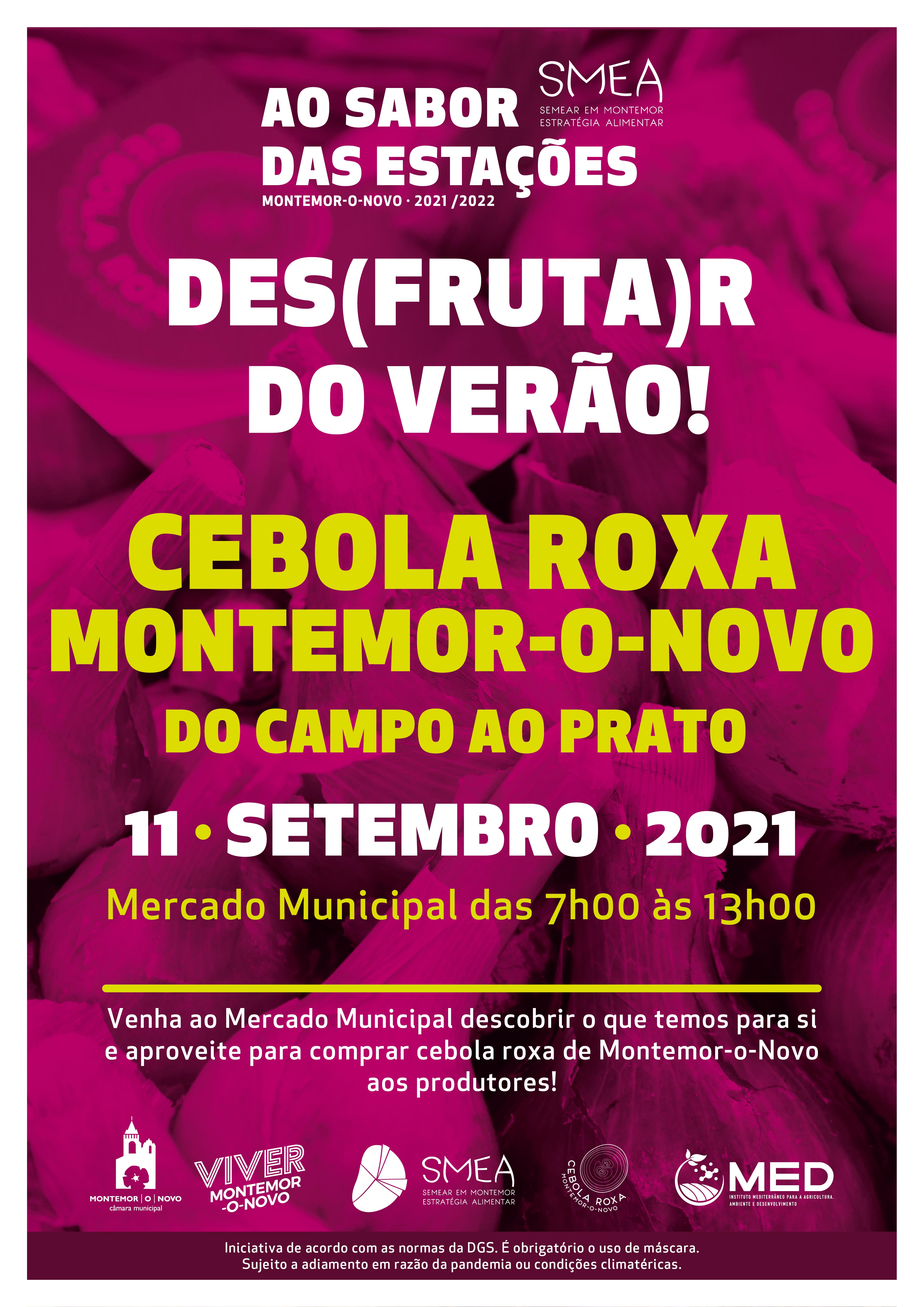 Cartaz desfrutar do verão CEBOLA ROXA