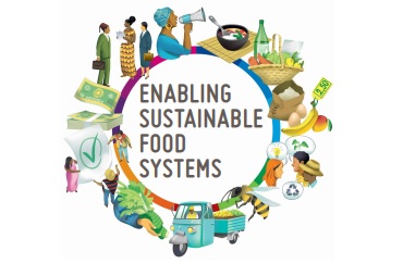 FAO enabling sust food sys