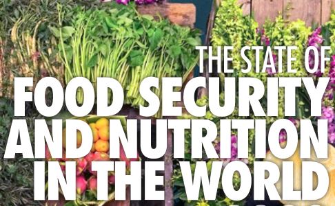 FAO state food sec