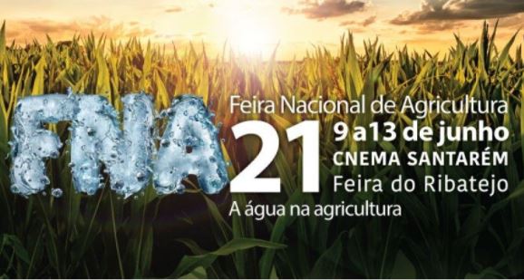FNA 21