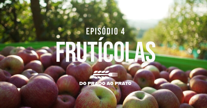 FRUTICOLAS EP4 1200x628 810x424