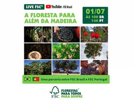 FSC floresta alem madeira